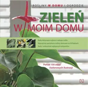 Zieleń w moim domu