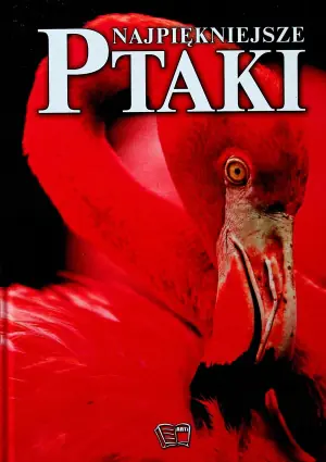 Najpiękniejsze ptaki