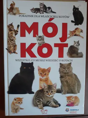 Mój kot