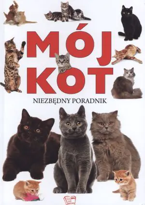 Mój kot