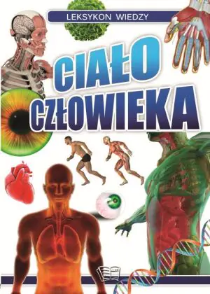 Ciało człowieka