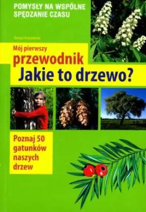 Mój pierwszy przewodnik. Jakie to drzewo?