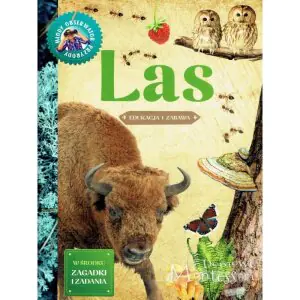 Młody obserwator przyrody. Las