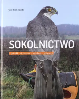 Sokolnictwo