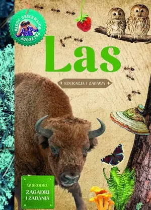 Las. Młody obserwator przyrody