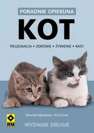 Kot
