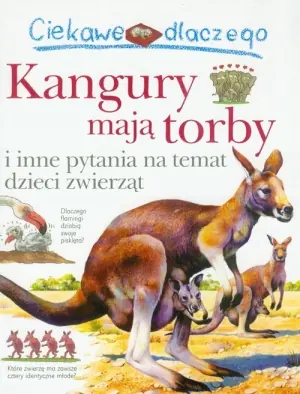 Ciekawe dlaczego kangury mają torby