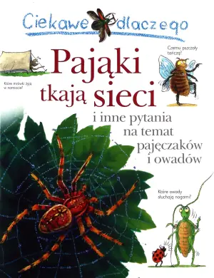 Ciekawe dlaczego pająki tkają sieci