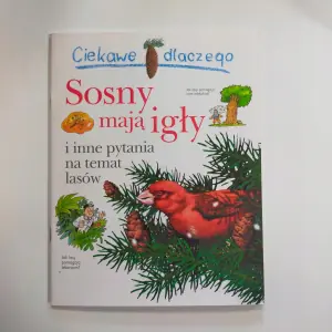 Ciekawe dlaczego sosny mają igły