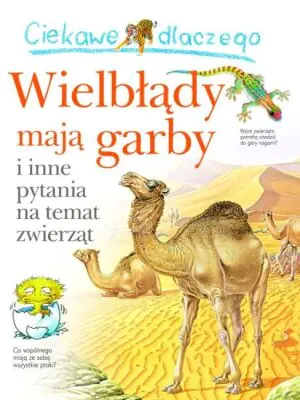 Ciekawe dlaczego wielbłądy mają garby