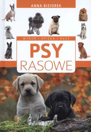 Psy rasowe