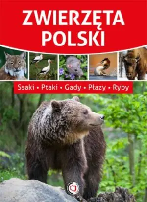 Zwierzęta Polski
