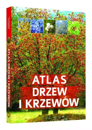 Atlas drzew i krzewów