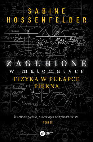Zagubione w matematyce. Fizyka w pułapce piękna