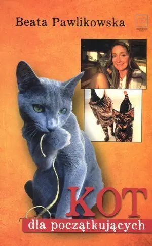 Kot dla początkujących 