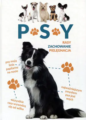 Psy