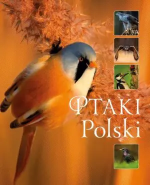 Ptaki Polski