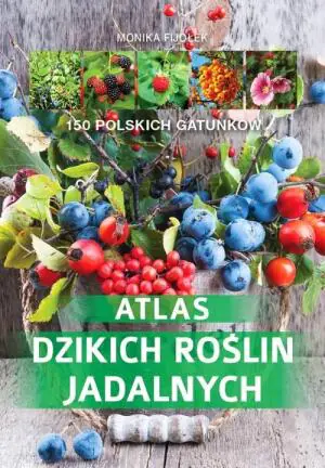Atlas dzikich roślin jadalnych. 150 polskich gatunków