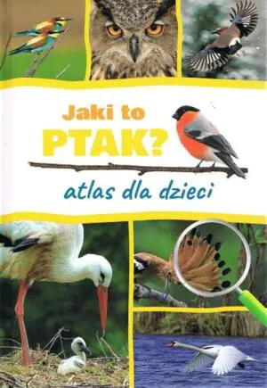Jaki to ptak? Atlas dla dzieci