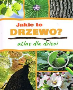 Jakie to drzewo? Atlas dla dzieci