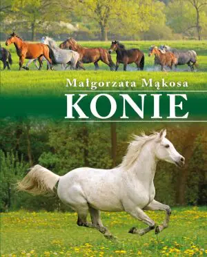 Konie