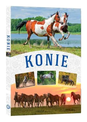 Konie