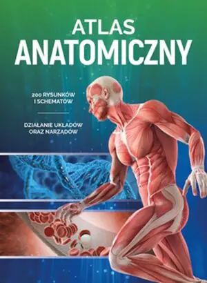 Atlas anatomiczny
