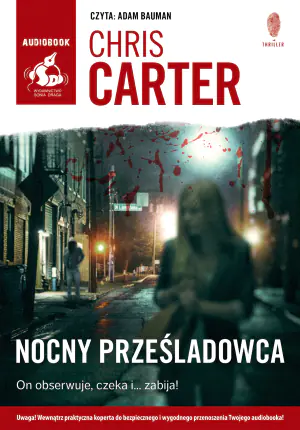 Nocny prześladowca. Robert Hunter. Tom 3