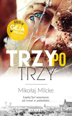 Trzy po trzy. Gej w wielkim mieście. Tom 4