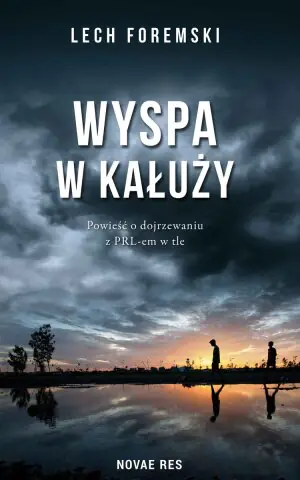 Wyspa w kałuży