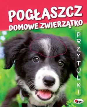 Pogłaszcz domowe zwierzątko