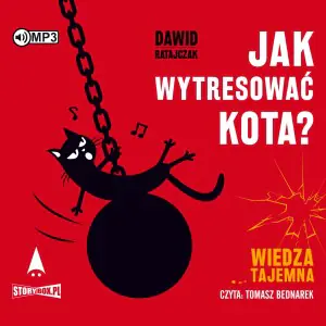 Jak wytresować kota? Wiedza tajemna