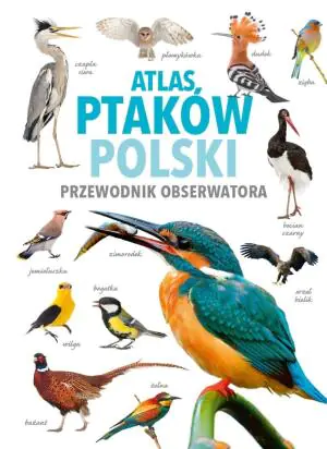 Atlas ptaków Polski. Przewodnik obserwatora