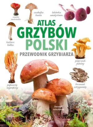 Atlas grzybów Polski. Przewodnik grzybiarza