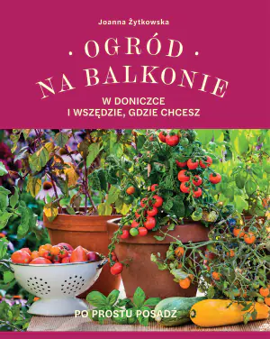 Ogród na balkonie. W doniczce i wszędzie, gdzie chcesz