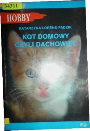 Kot domowy czyli dachowiec