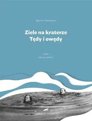 Ziele na kraterze. Tędy i owędy
