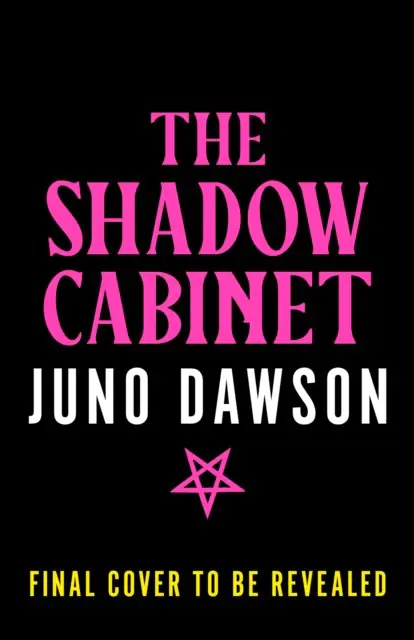 Książka - The Shadow Cabinet