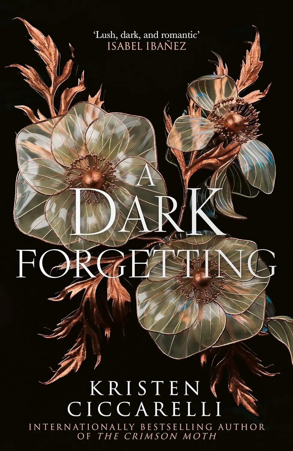 Książka - A Dark Forgetting