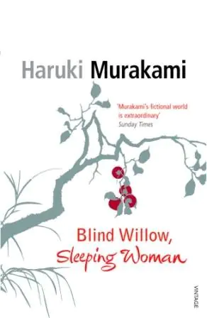 Książka - Sleeping Woman 