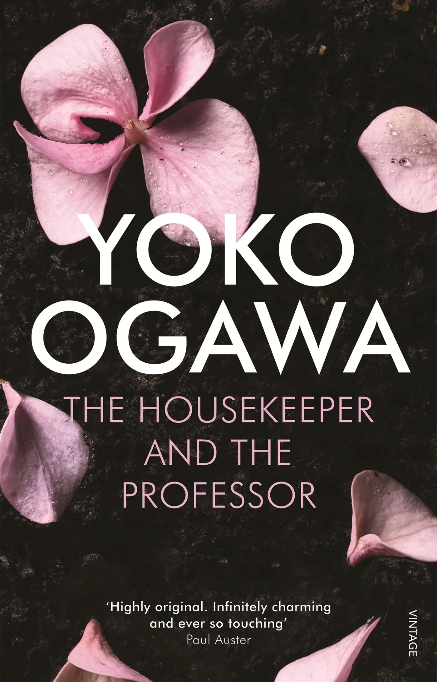 Książka - The Housekeeper and the Professor