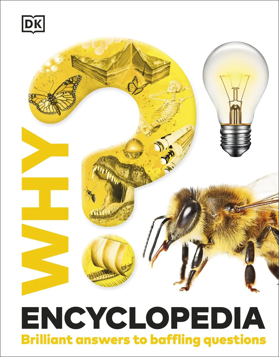 Książka - Why? Encyclopedia: Brilliant Answers to Baffling Questions