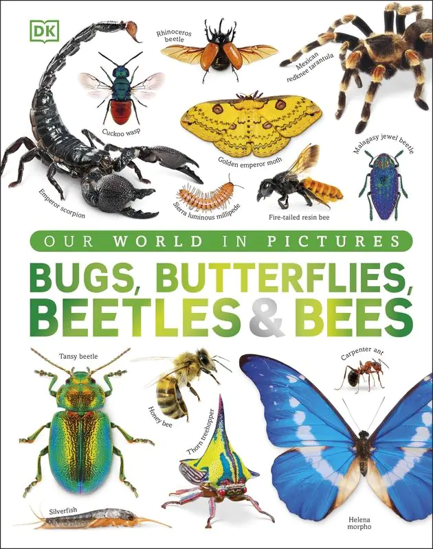 Książka - Our World in Pictures Bugs, Butterflies, Beetles and Bees
