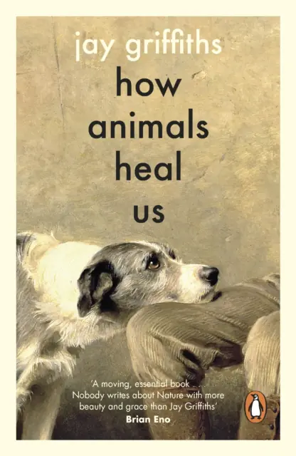Książka - How Animals Heal Us