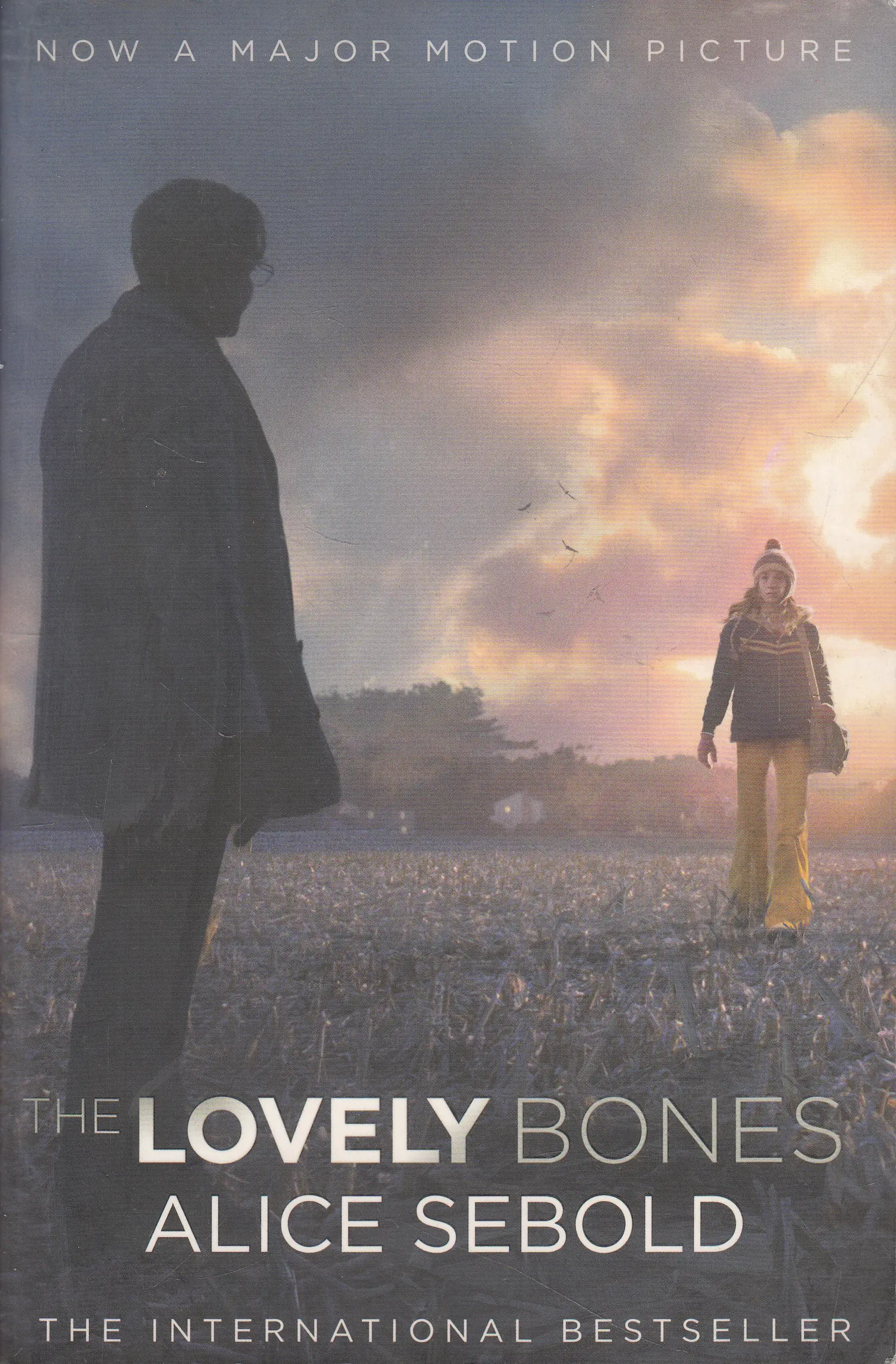 Książka - Lovely Bones Film Tie-in