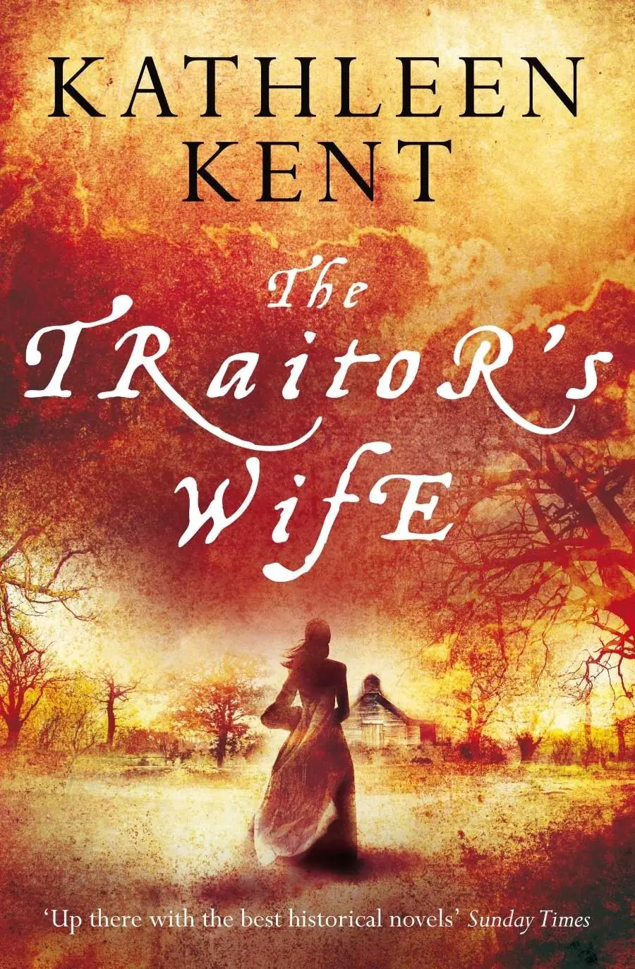 Książka - The Traitor'S Wife