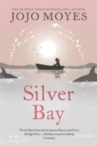 Książka - Silver Bay