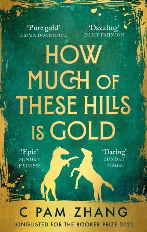 Książka - How Much of These Hills is Gold. Longlisted for the Booker Prize 2020