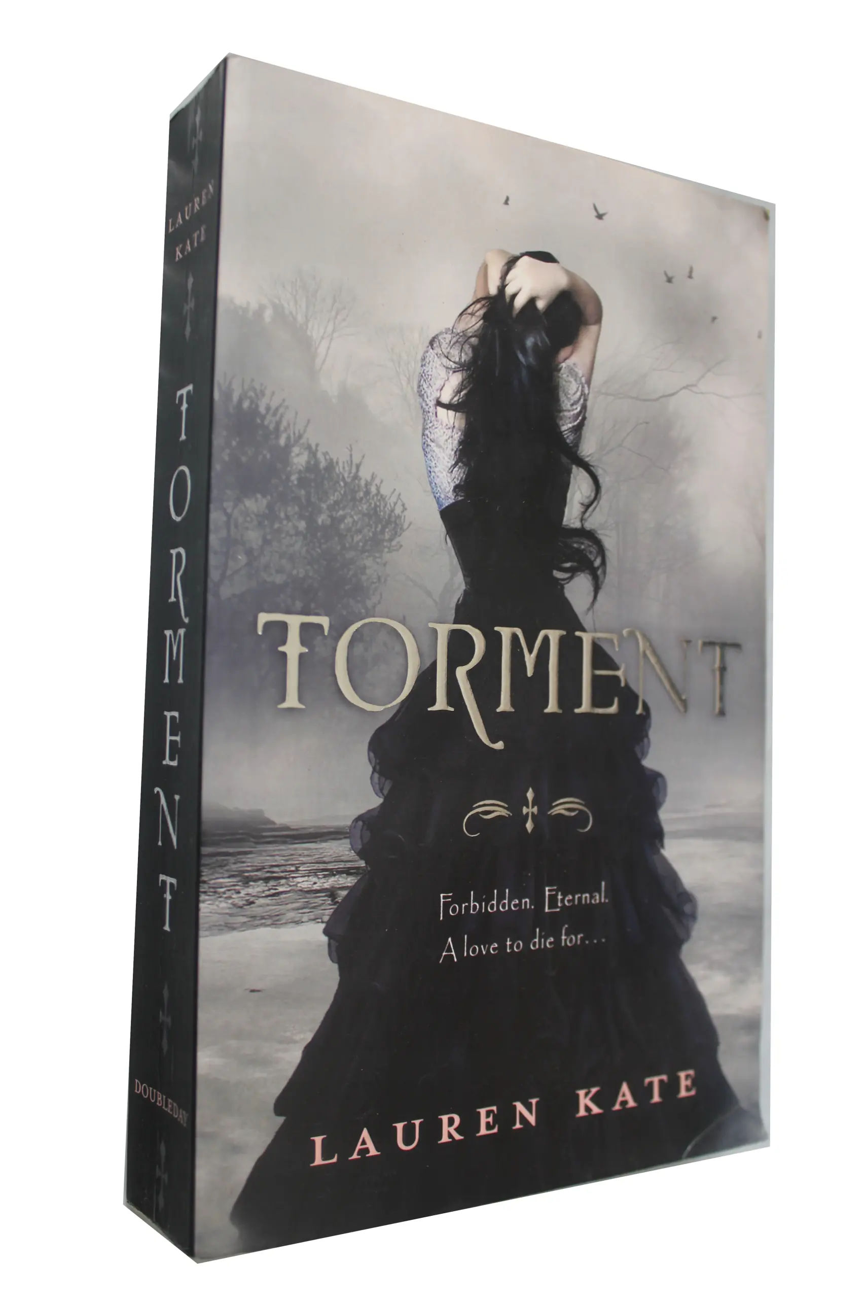 Książka - Torment