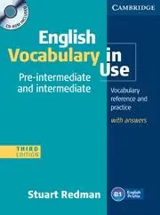 Książka - English Vocabulary in Use